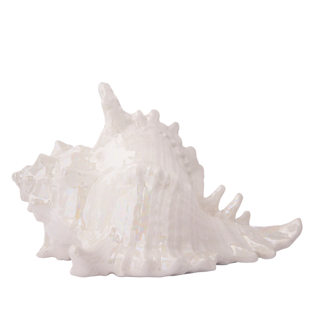 konkylie, perlemor - H11 cm